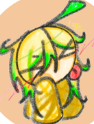 파일:네플.png